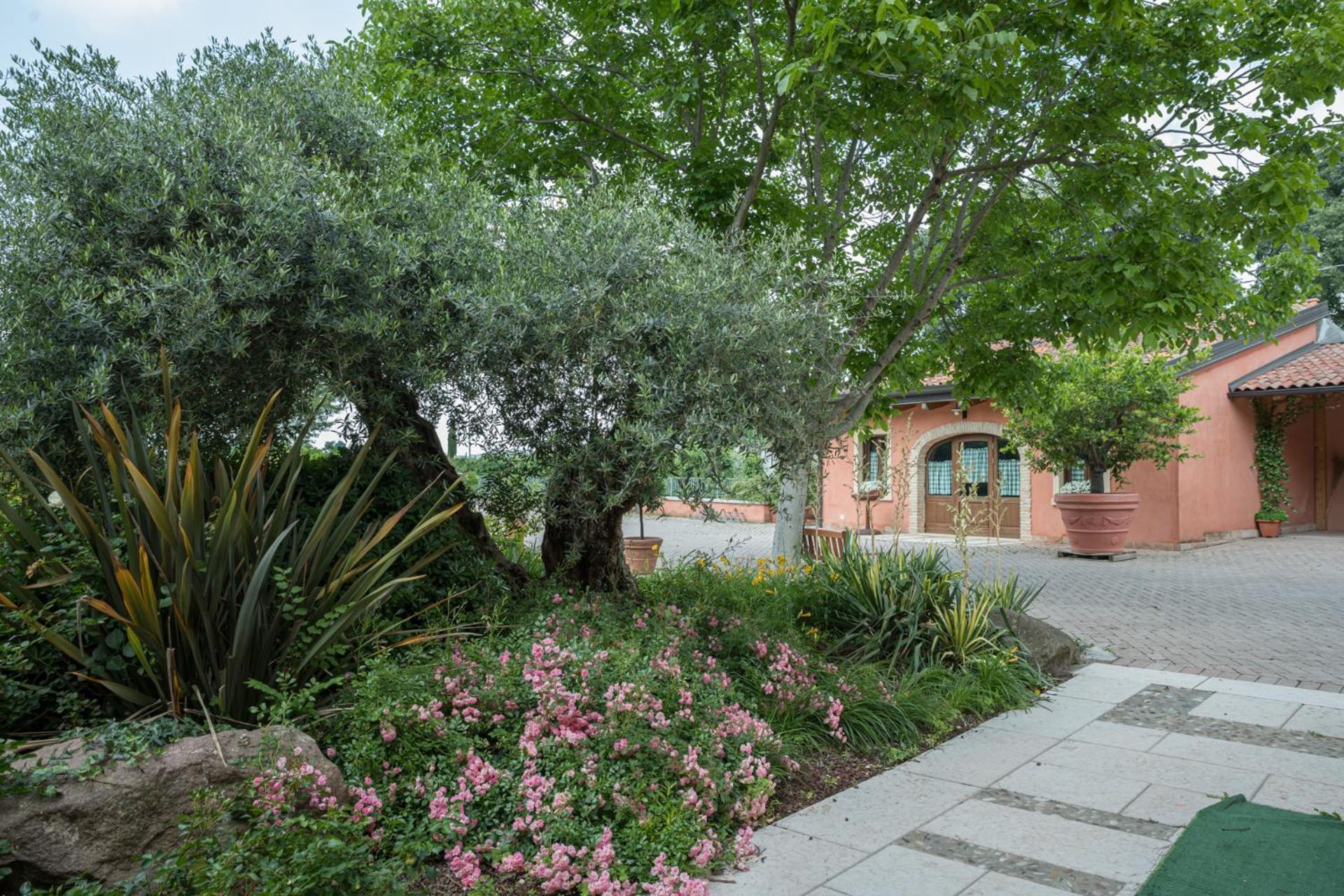 Agriturismo Corte Morandini Valeggio sul Mincio Dış mekan fotoğraf