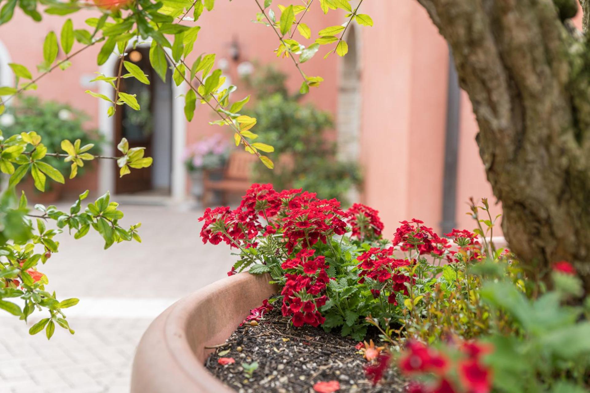 Agriturismo Corte Morandini Valeggio sul Mincio Dış mekan fotoğraf